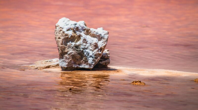 salt formation in pink waters of torrevieja