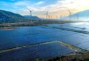 aerial view of solar and wind energy farm