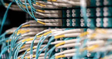 numerous wires mounted into patch panel
