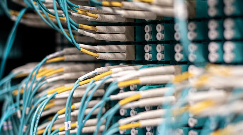 numerous wires mounted into patch panel